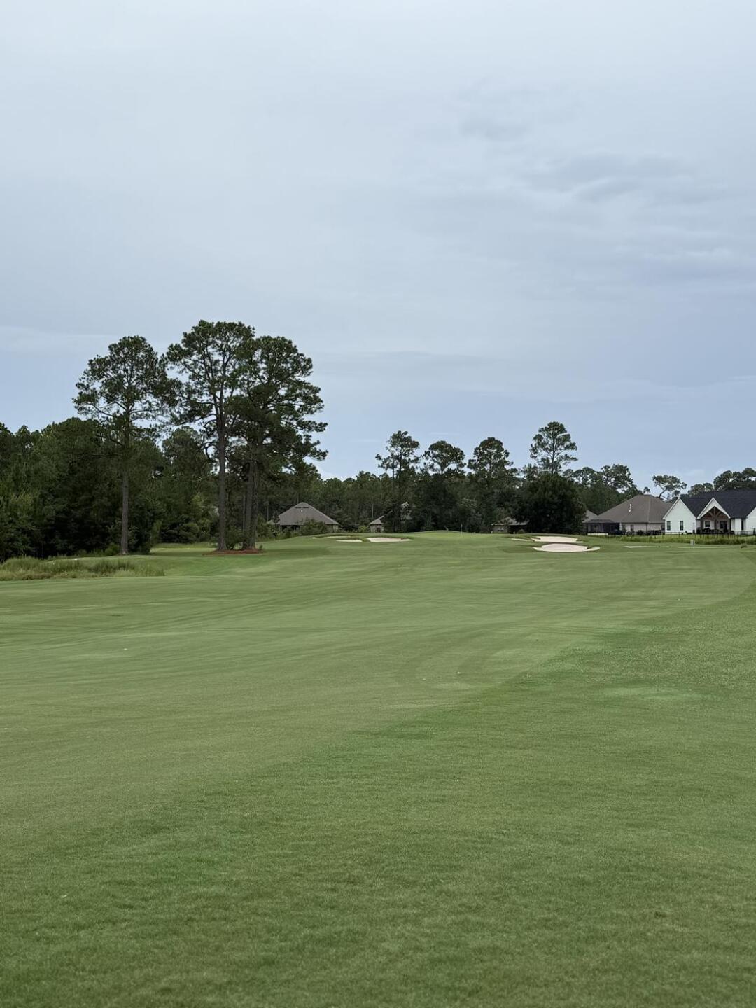 (Photo submitted by u4410039 on 08/12/2025)