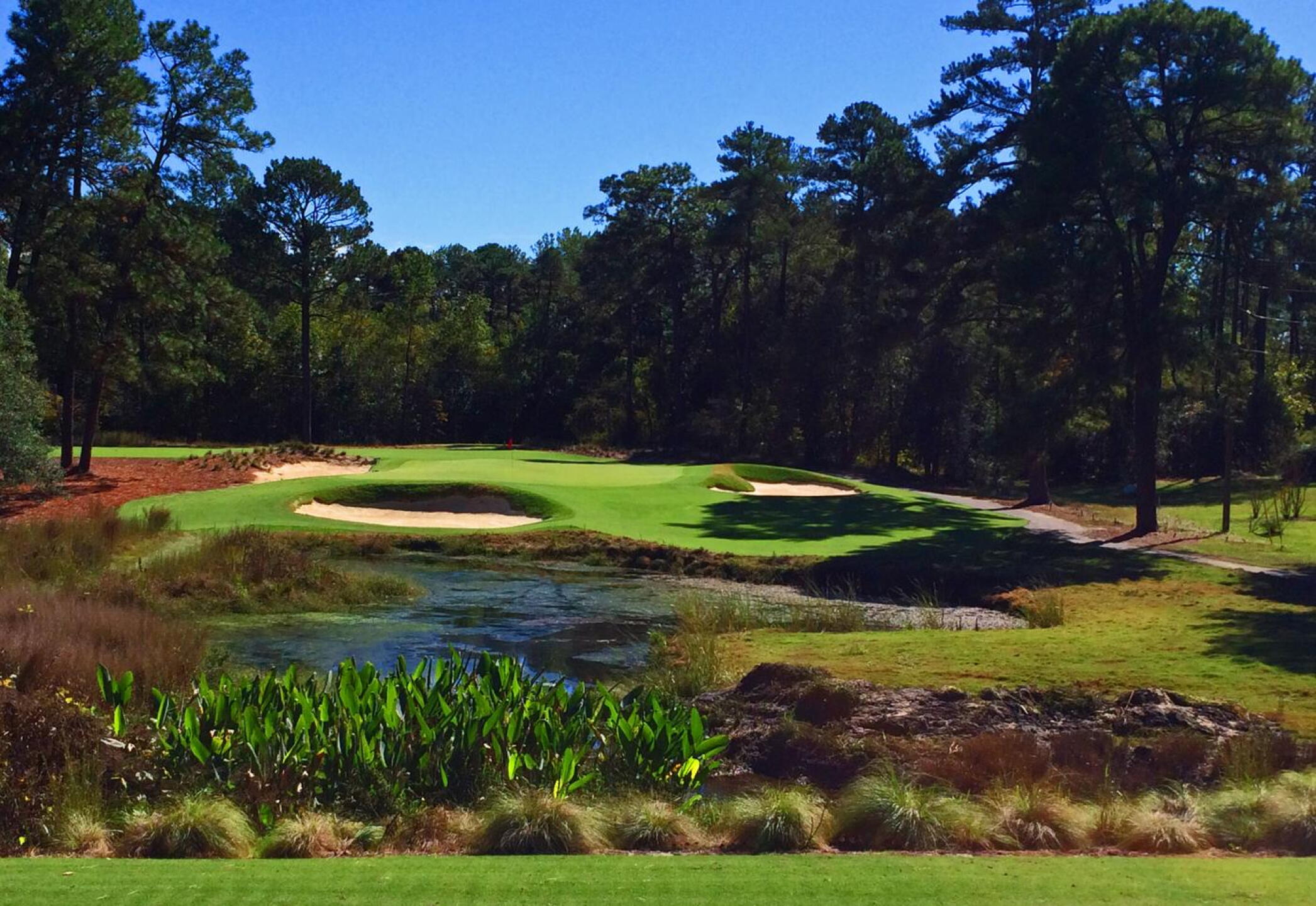 (Photo submitted by MikeBaileyGolf on 11/01/2017)