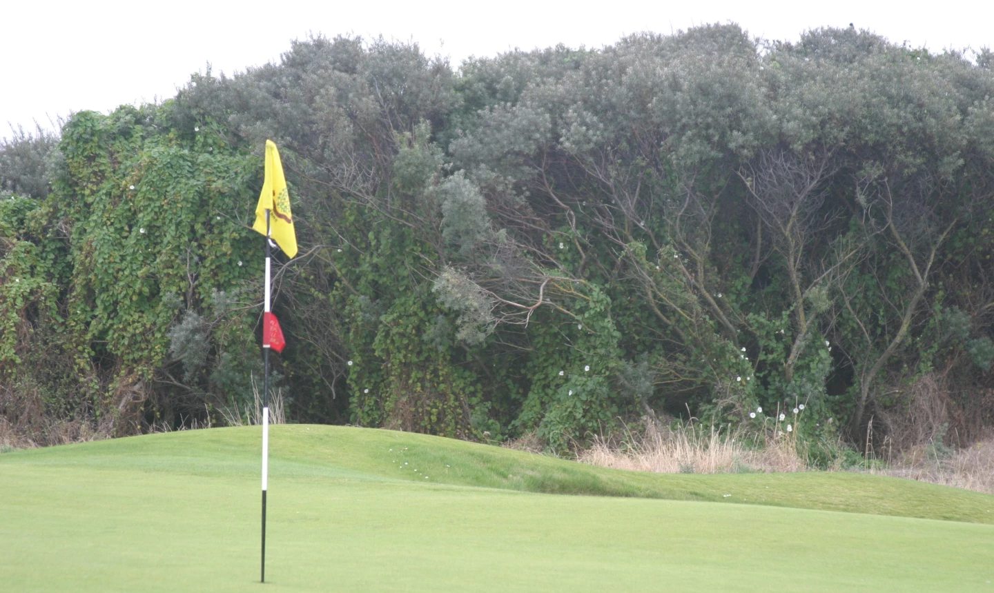 Royal Dublin GC - hole 12