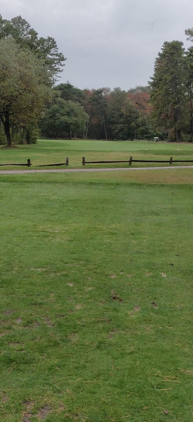 (Photo submitted by u314159698649 on 10/11/2020)