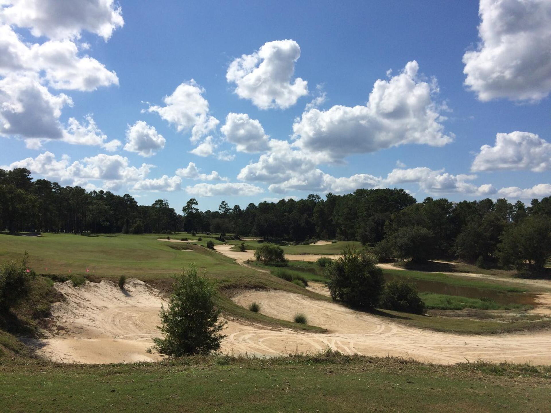Par-4 15th hole (Photo submitted by BrandonWebb on 12/31/2016)