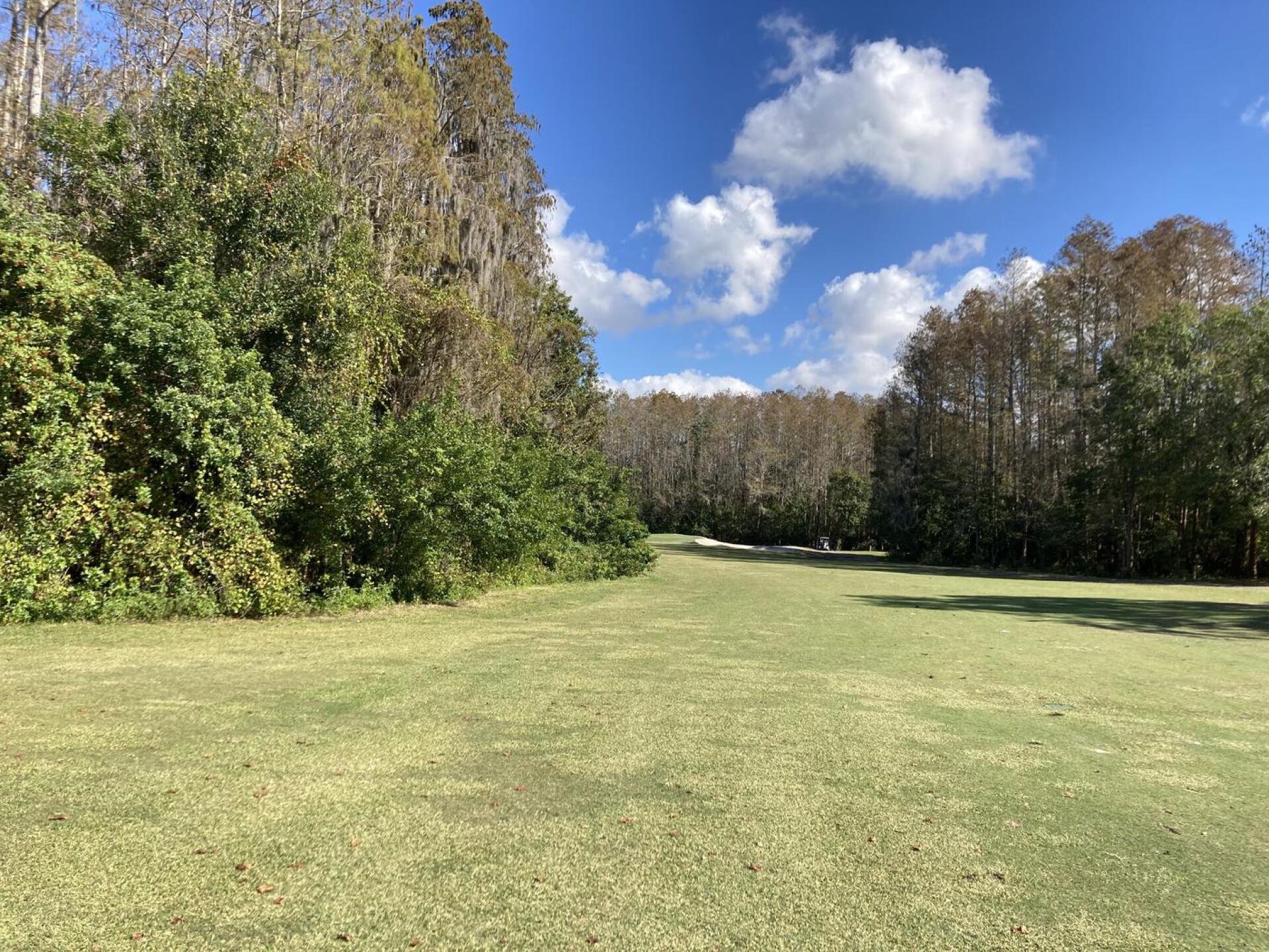 (Photo submitted by u000007359718 on 12/10/2022)