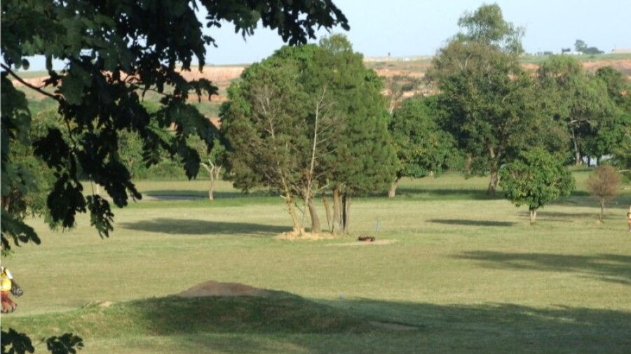 Rayfield GC