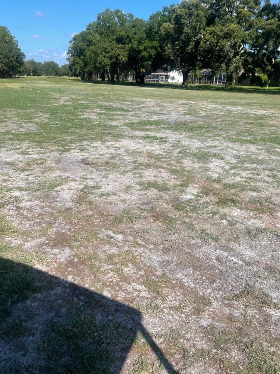 (Photo submitted by benf656 on 06/28/2023)