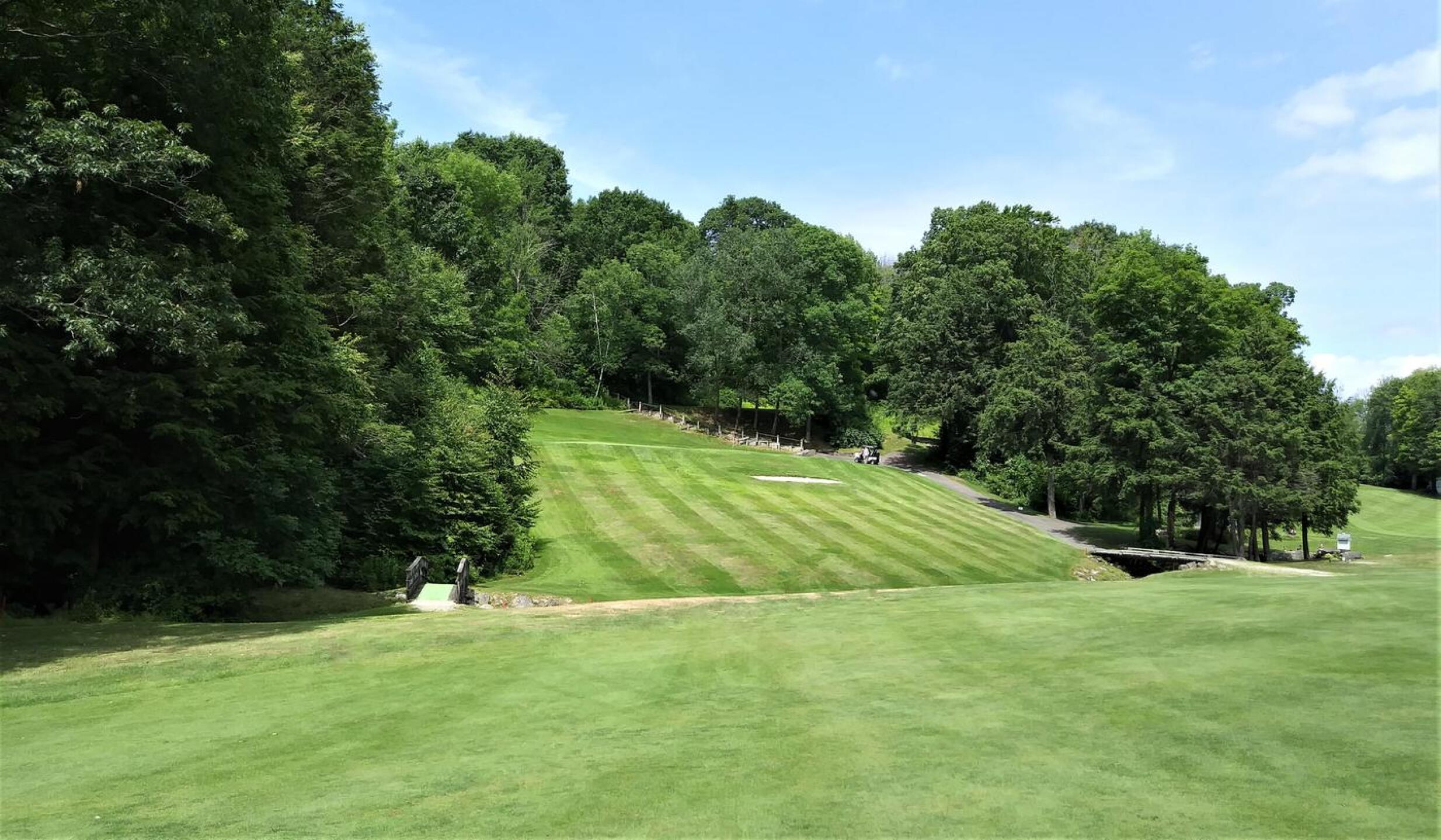 Five is a short but tough par-4 that doglegs right and travels up this steep hill to a shallow green— less than 10 yards beyond the bunker. (Photo submitted by AptlyLinked on 07/18/2020)