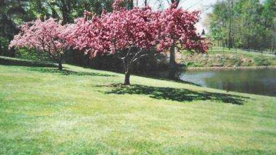 Union City CC