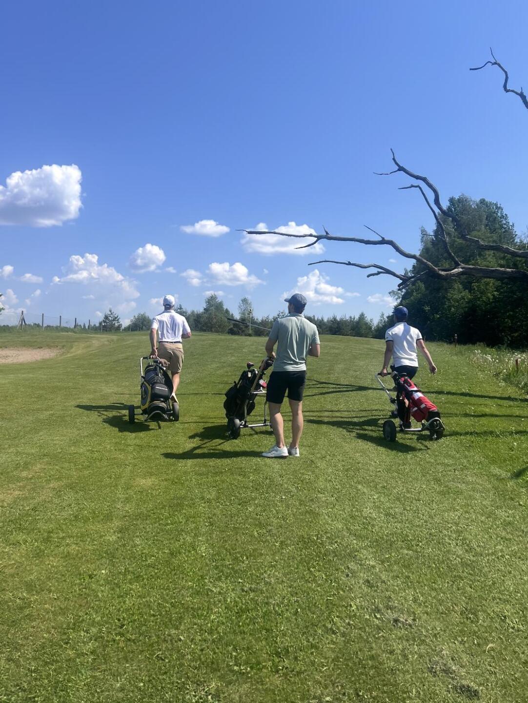 (Photo submitted by riejugGnEo3eRuMPVaXc on 11/09/2024)