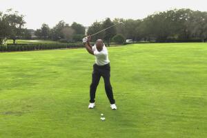 Perfect Swing Posture