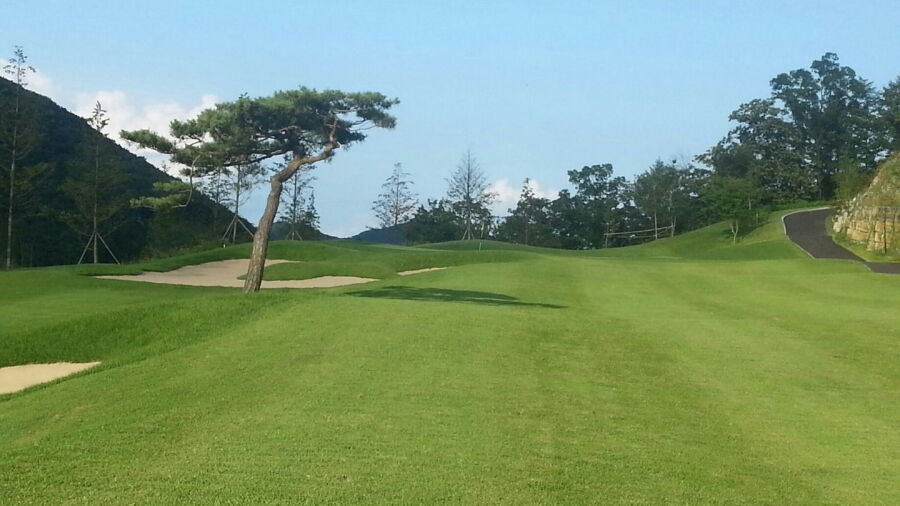 Summit CC - M Nine: #5