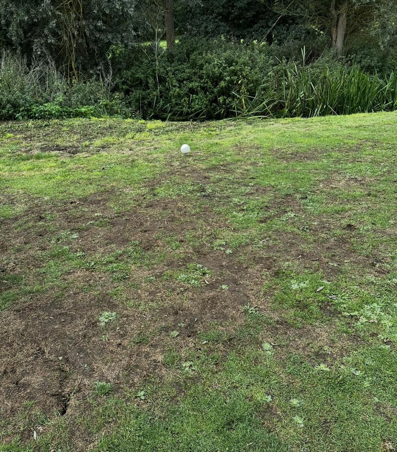 (Photo submitted by u314164456433 on 09/15/2025)