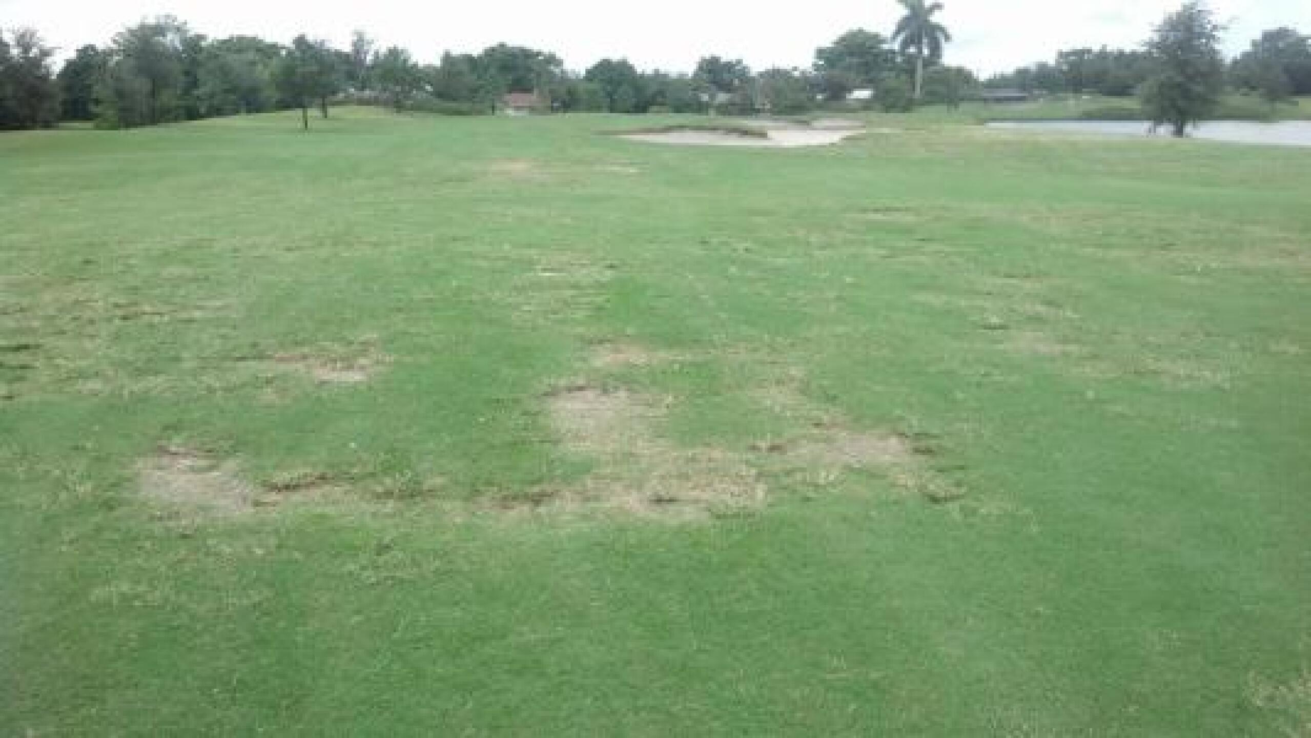 16th fairway - typical conditions (Photo submitted by billw1962 on 09/29/2014)