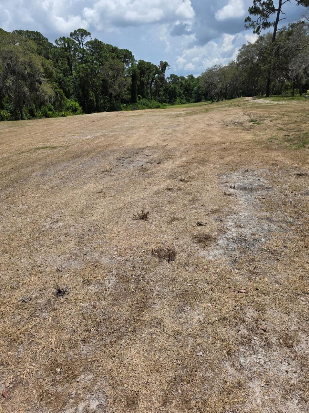 (Photo submitted by u314161430948 on 05/27/2025)