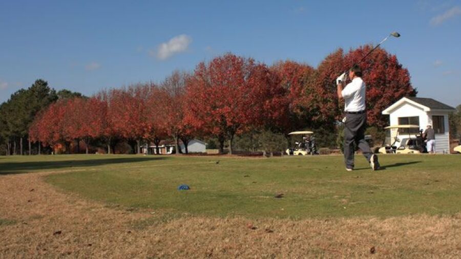 Reedy Creek GC