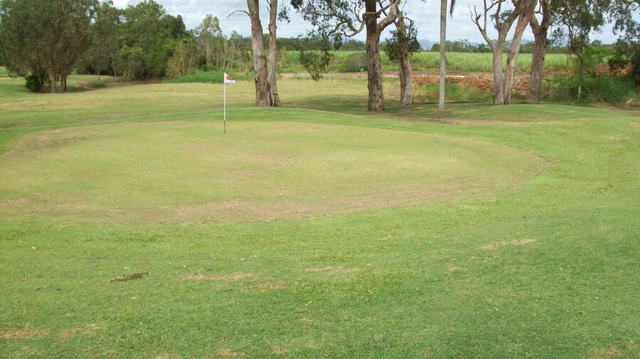 Black Springs GC: #5
