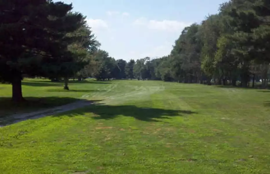 Rochester Elks CC: #8