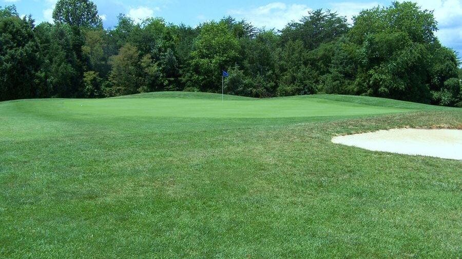Winton CC: #11