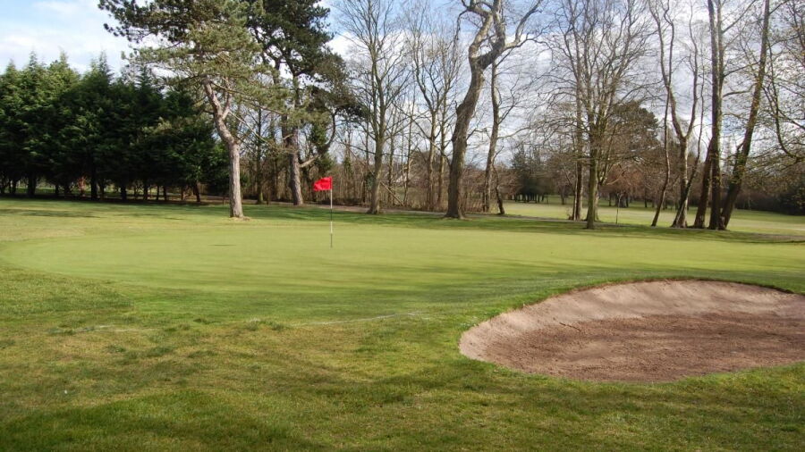 Ormeau GC: #8