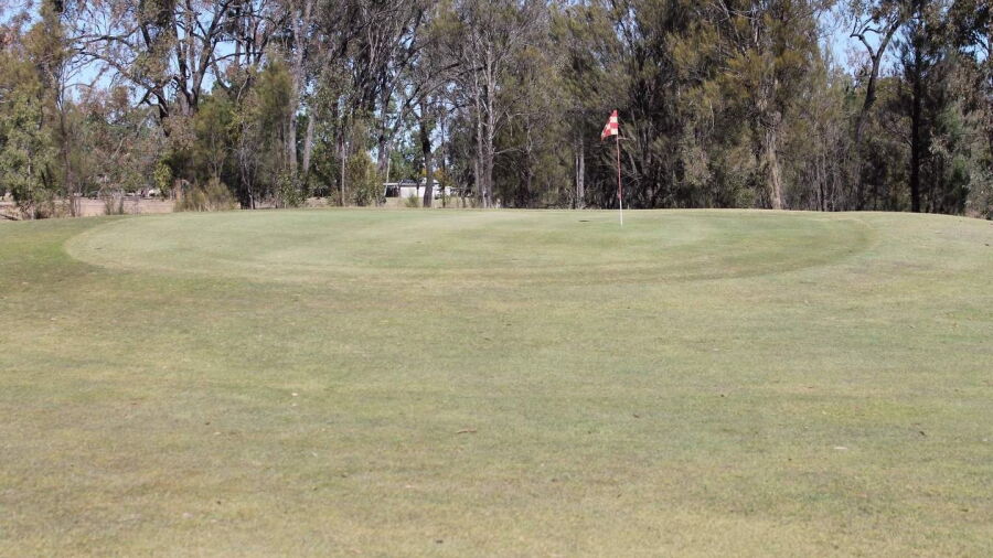 Jandowae GC