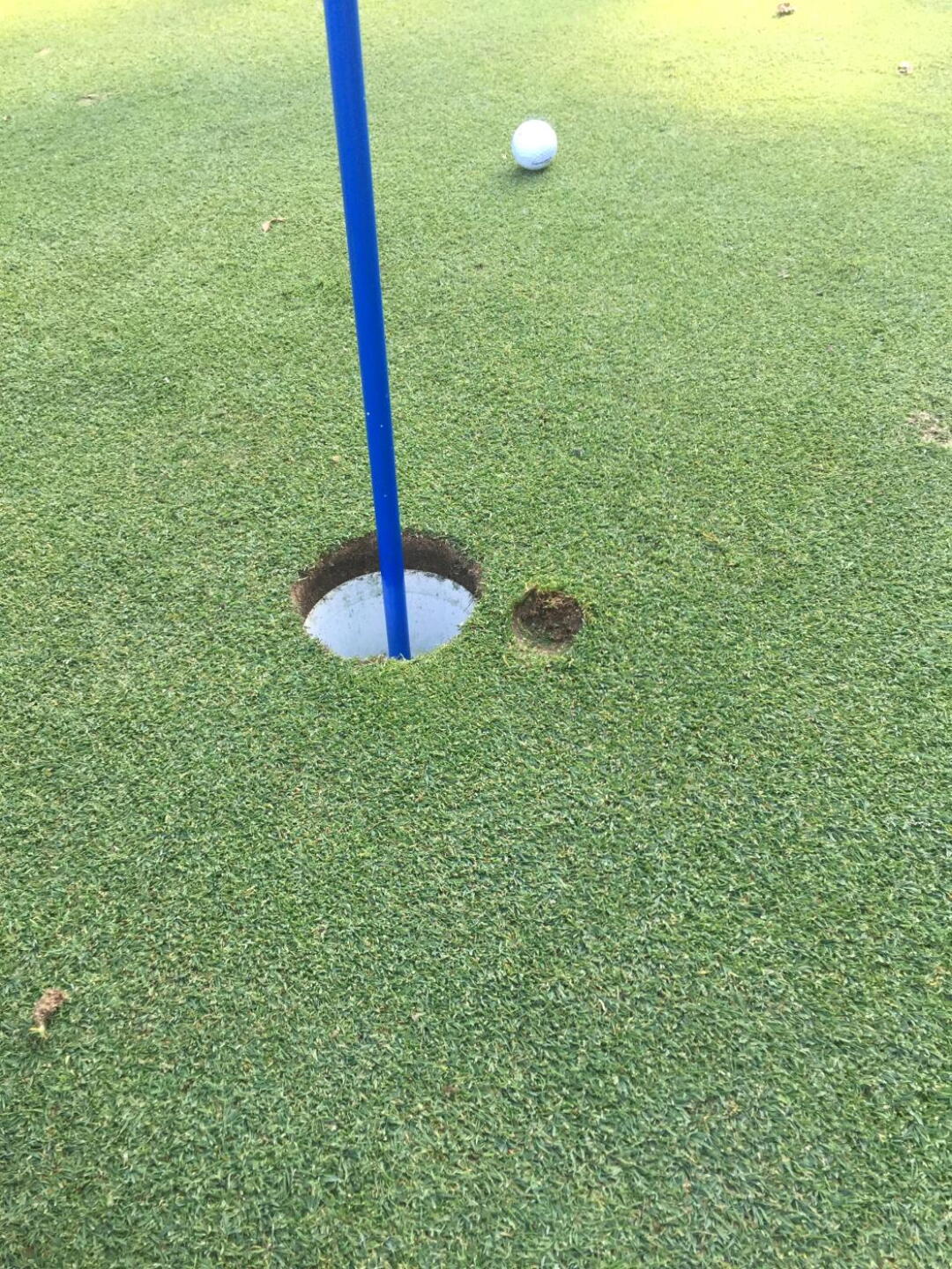 My almost hole in one on #11 (Photo submitted by mwmaes on 10/17/2019)