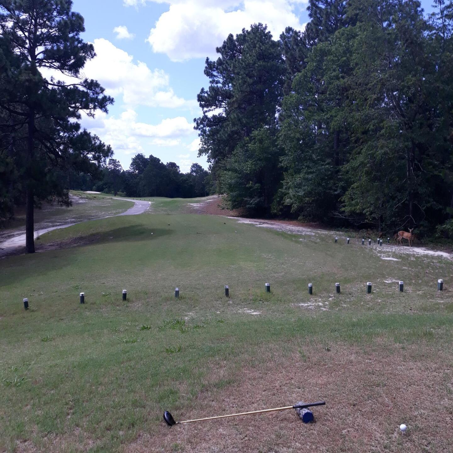 Spectators at #5 tee box! (Photo submitted by GolfingGemini on 07/11/2020)