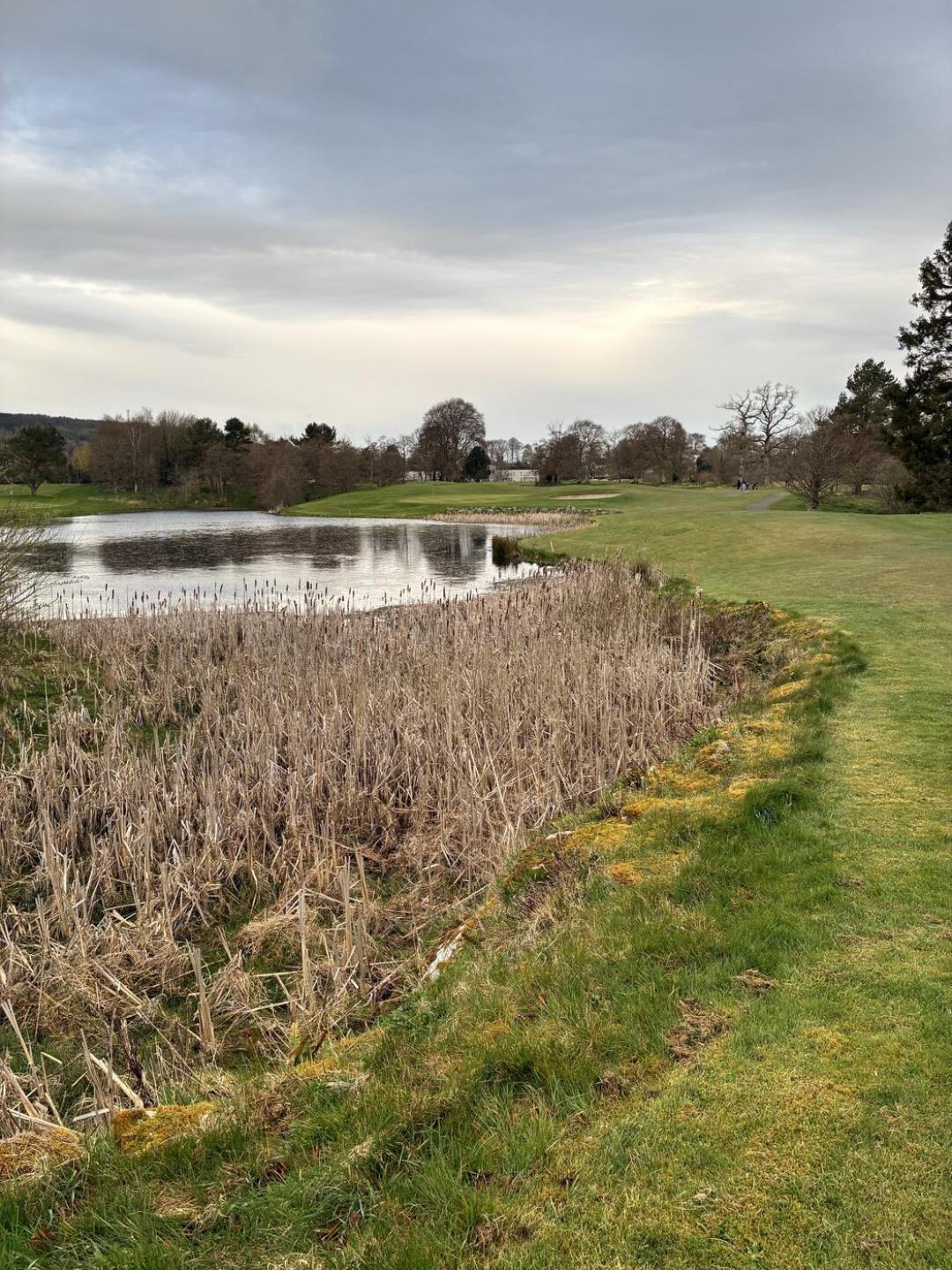 2nd tee (Photo submitted by DaveDunning1 on 04/10/2026)