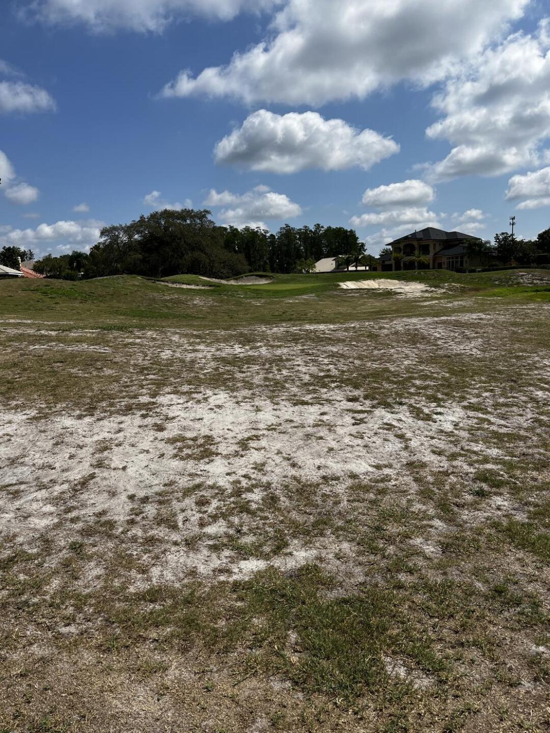 (Photo submitted by mmarciano33 on 05/21/2023)