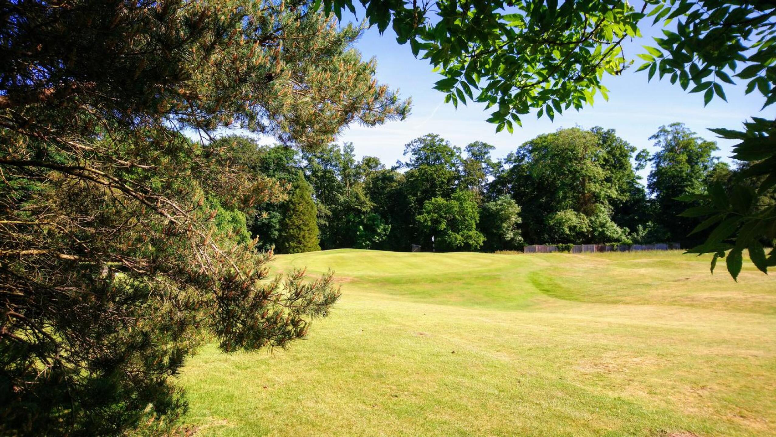 View of the 18th Green and par 5 finish (Photo submitted by t1477289573 on 06/16/2021)