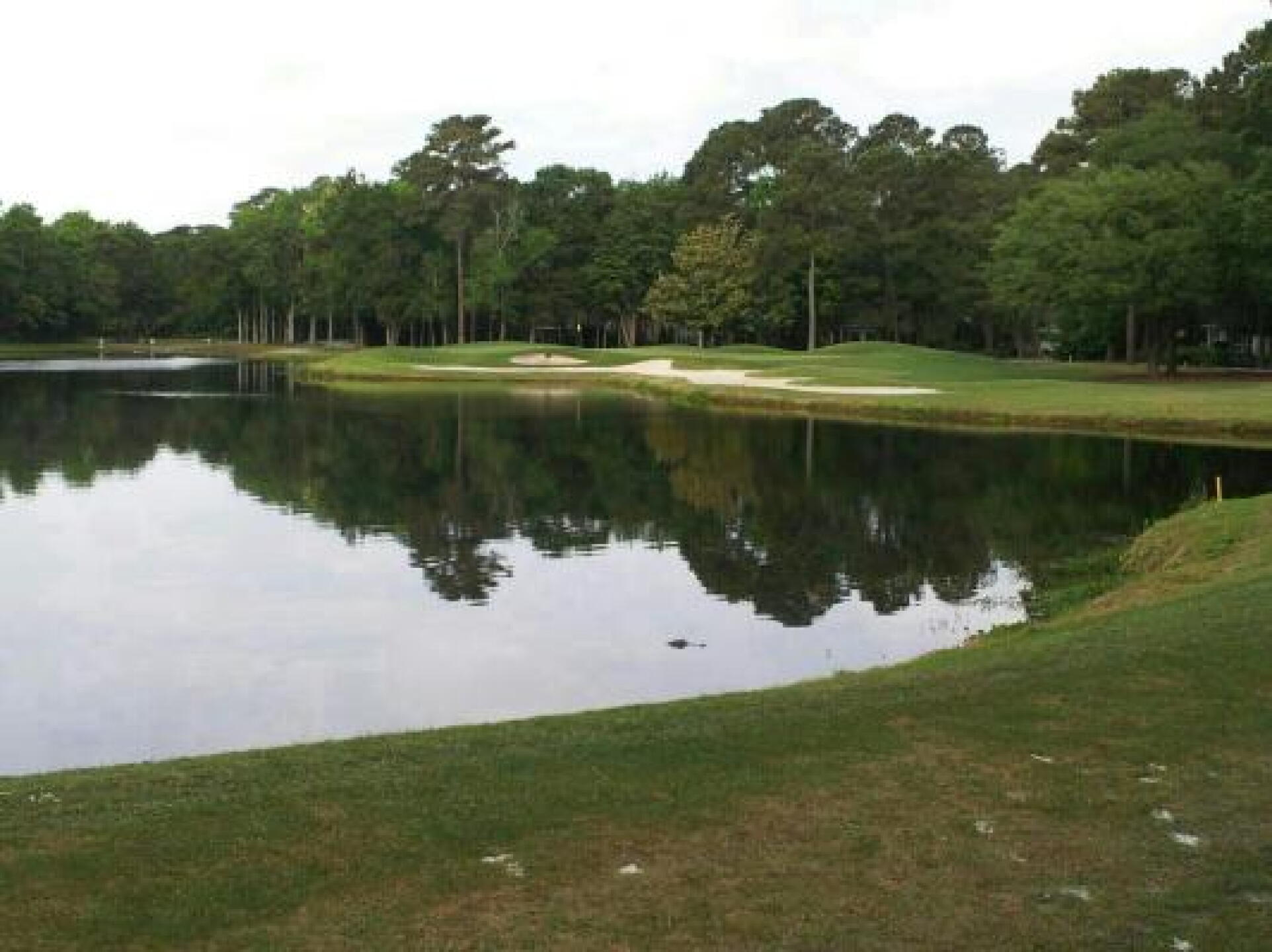 3rd hole par 3 :) with a small alligator watching us tee off!! (Photo submitted by Eric2030086 on 05/15/2013)