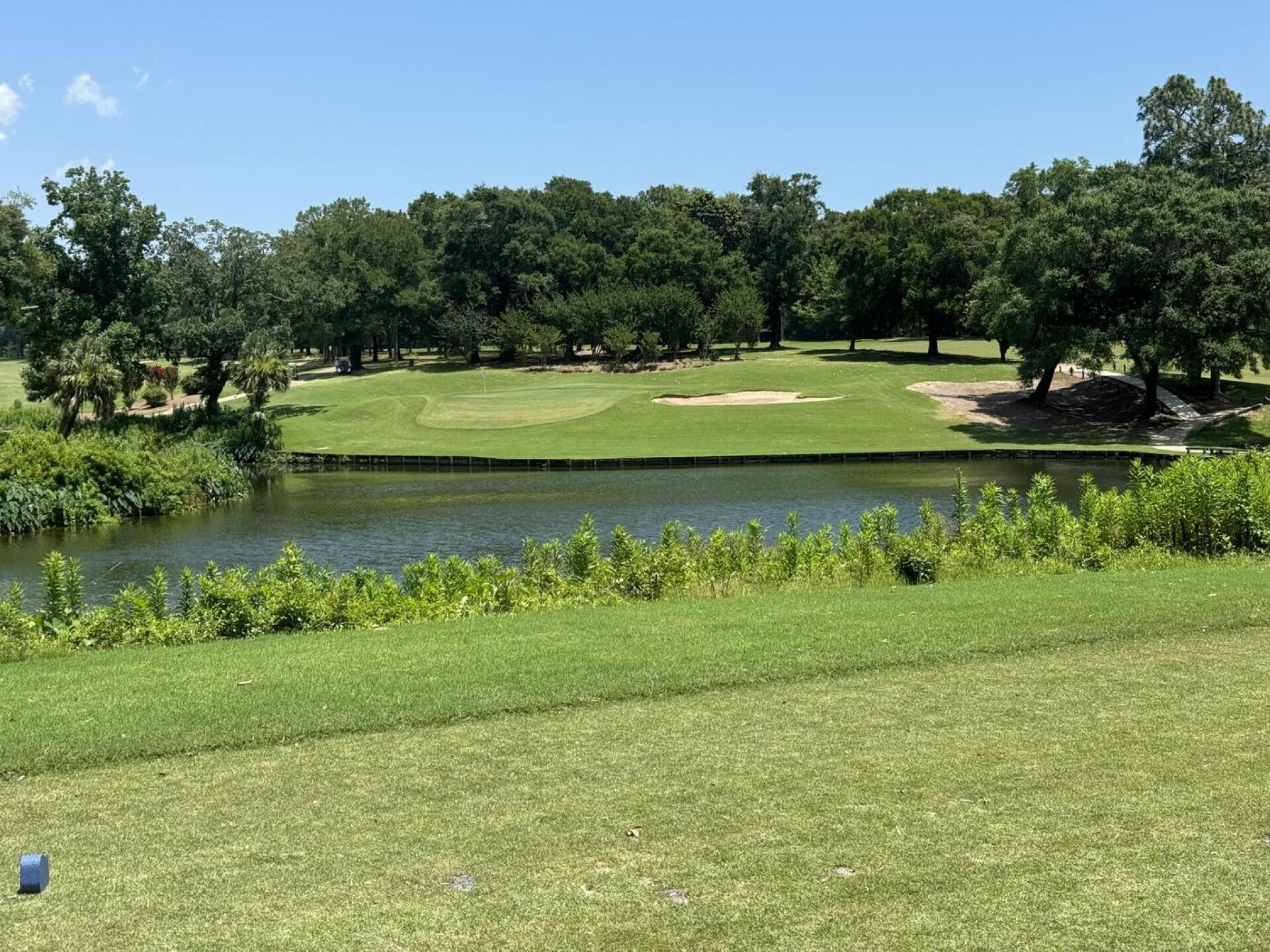 (Photo submitted by uncledinla on 06/08/2024)