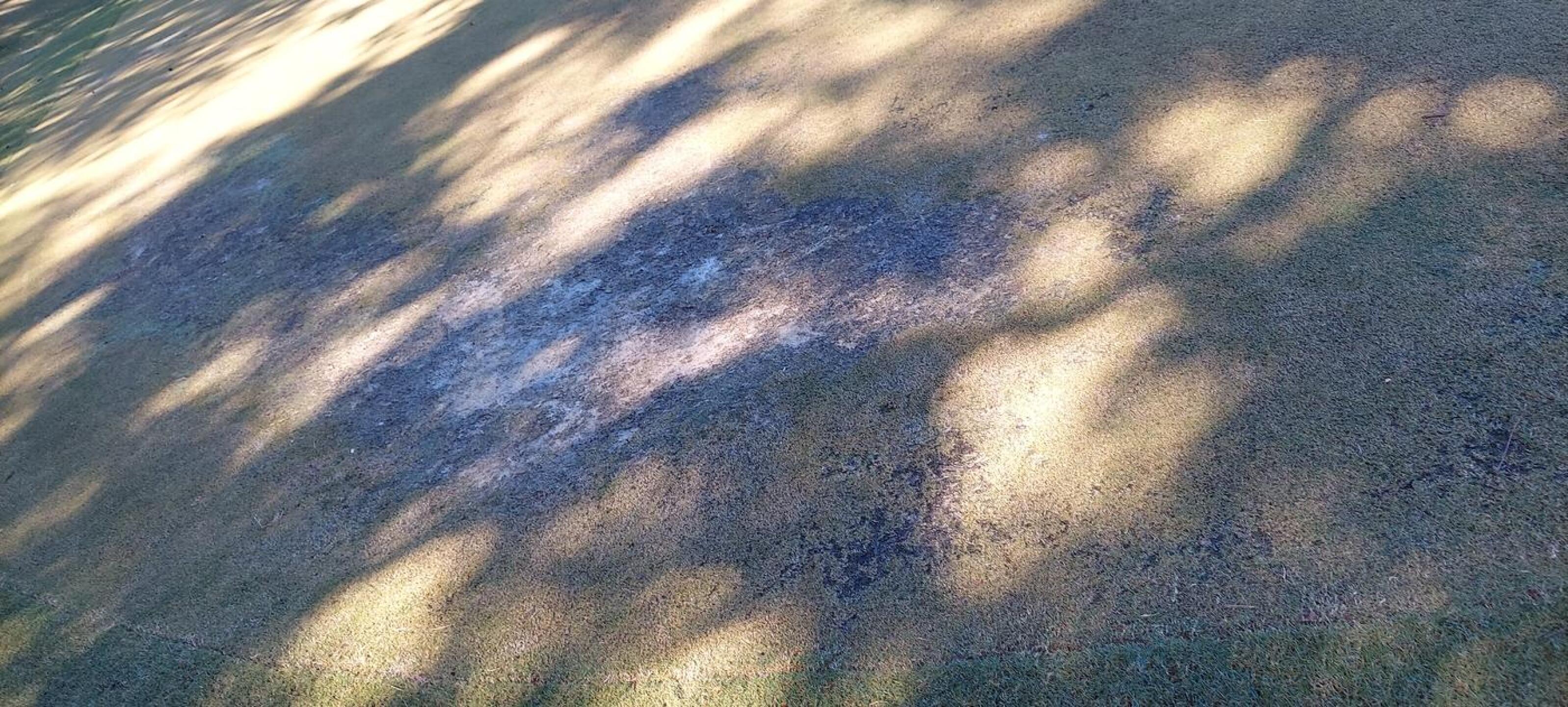 (Photo submitted by u621076289 on 10/07/2022)