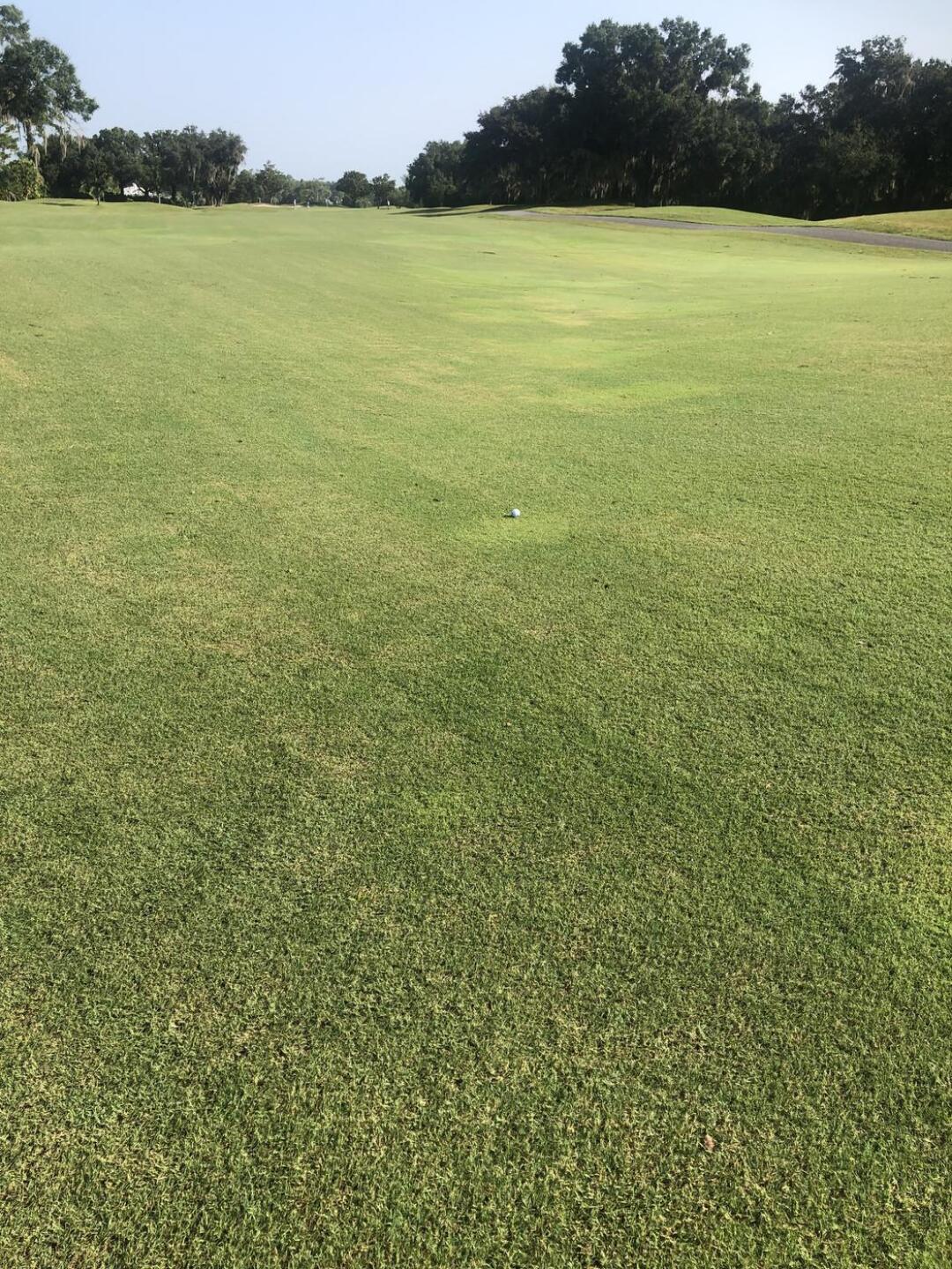 (Photo submitted by u314163860510 on 08/24/2023)