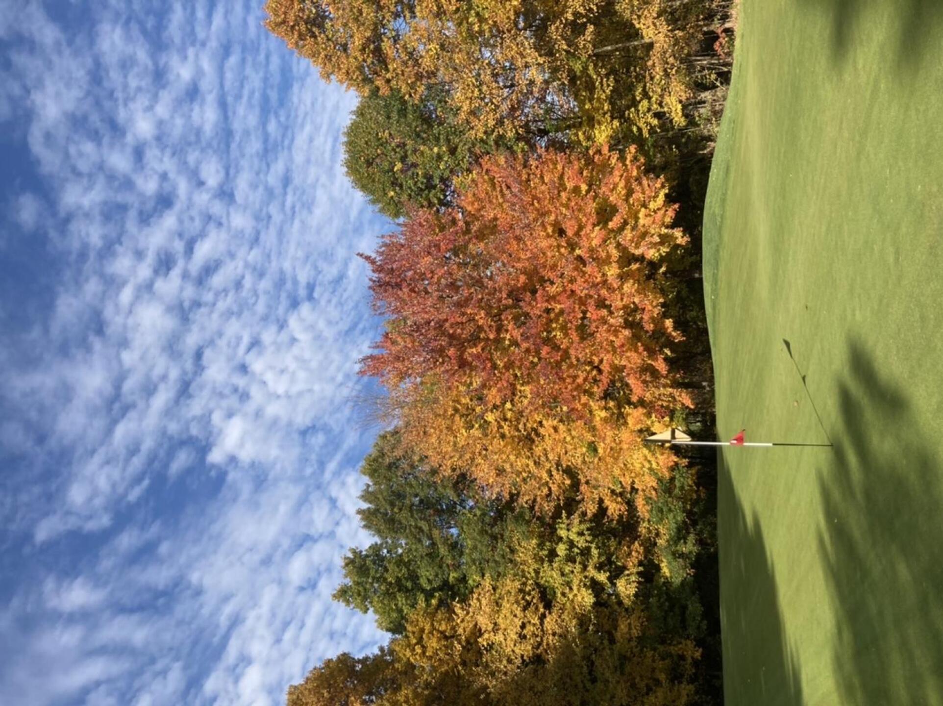 (Photo submitted by Dan7790734 on 10/25/2022)