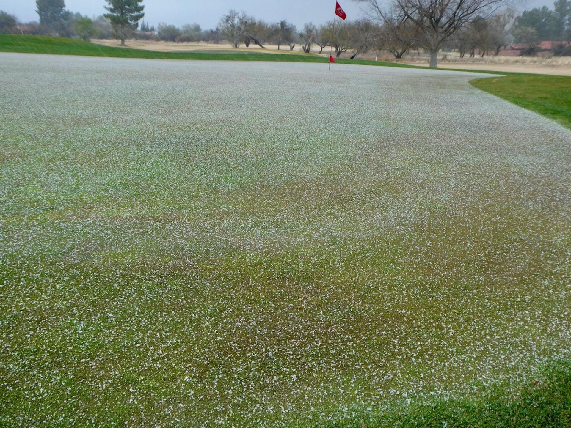 Hail covered the green…but I persisted. (Photo submitted by tomtutor on 02/15/2023)