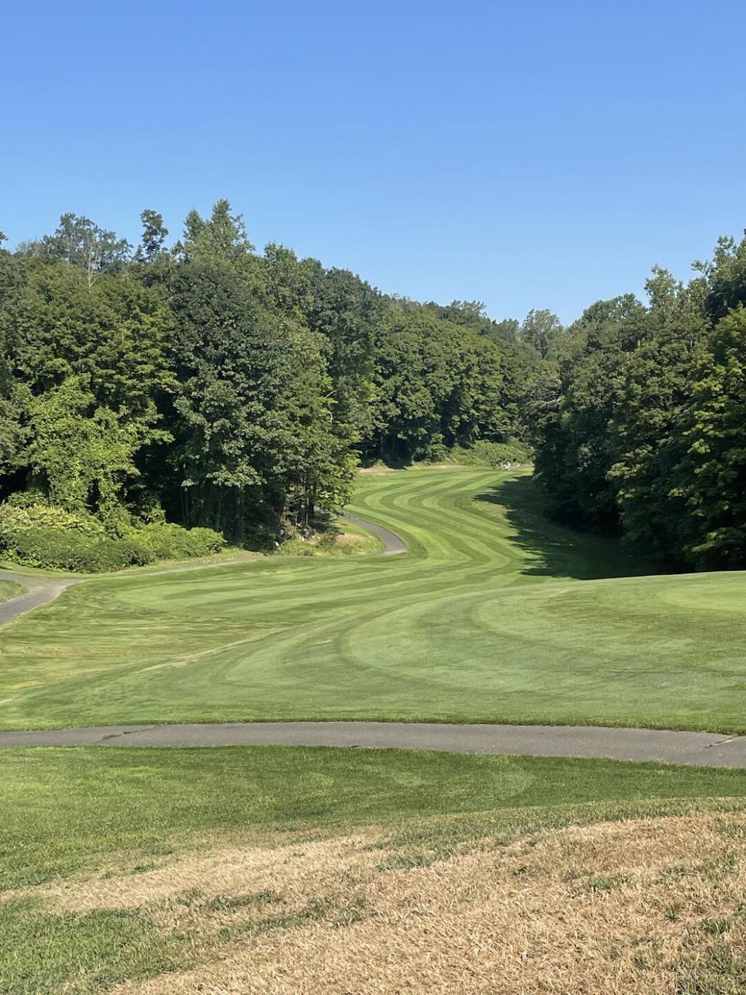 (Photo submitted by aaronshap on 10/16/2024)