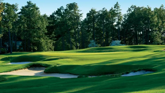 Pinehurst No. 2 - Hole 5