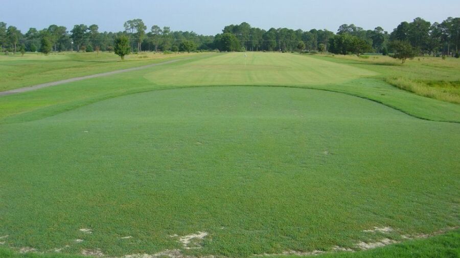 Taylor's Creek GC