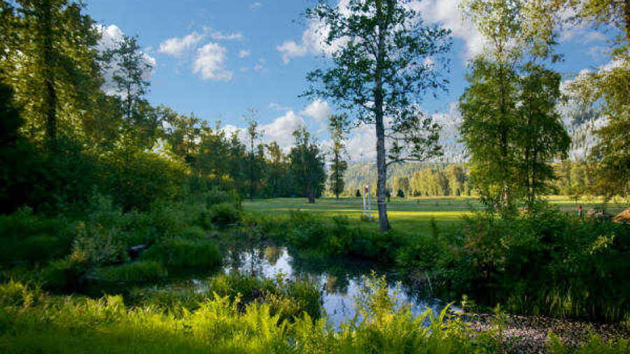 Salmo Golf Club: #5