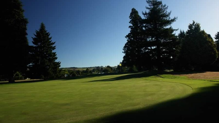 Springfield GC: #12