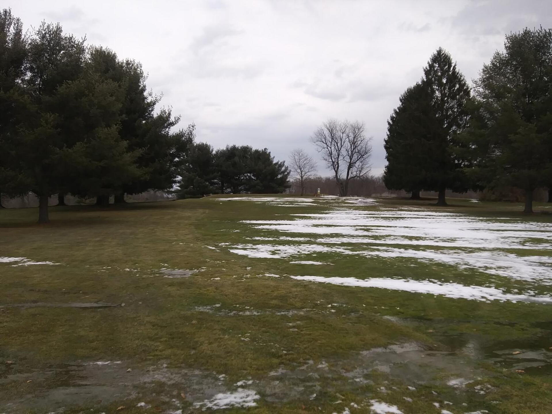(Photo submitted by u545668034 on 02/25/2021)