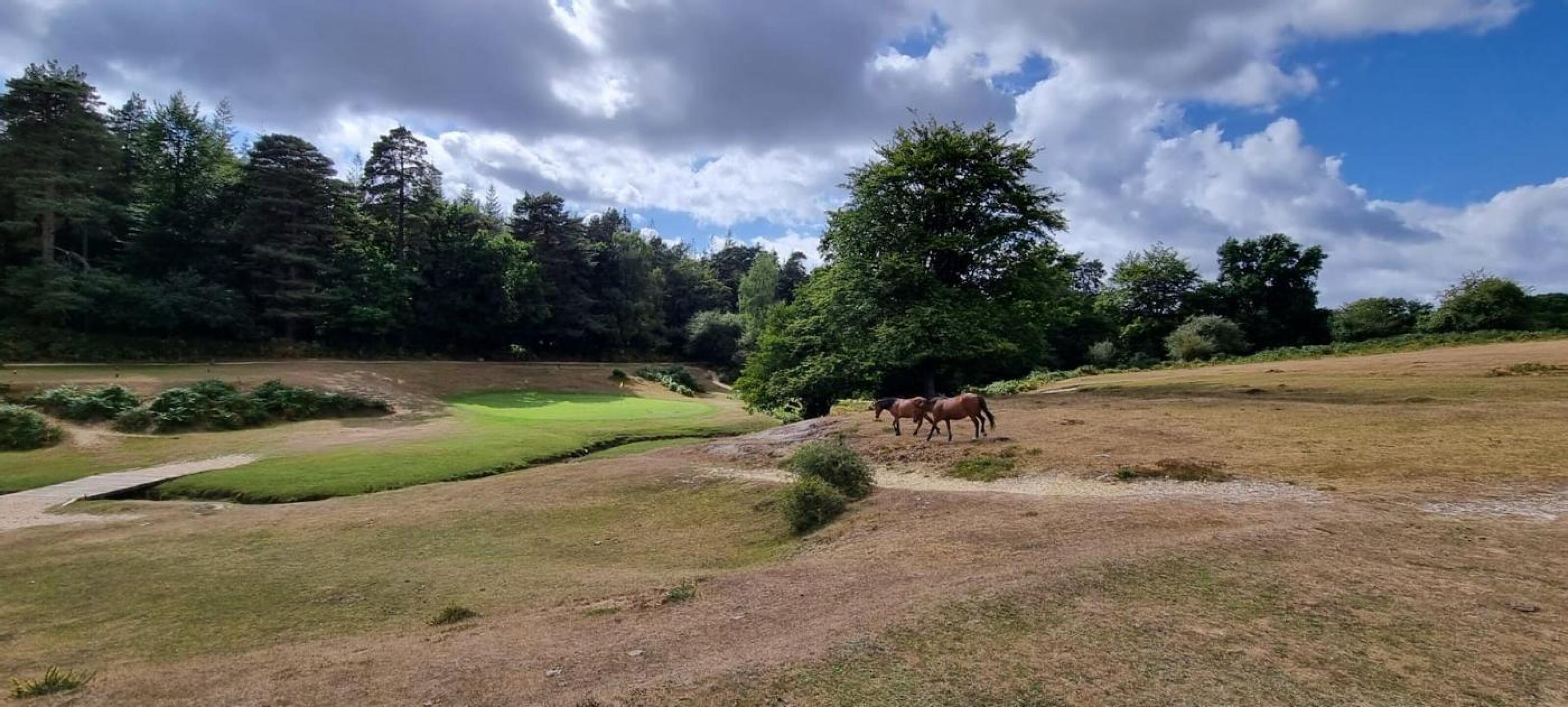 (Photo submitted by u000002721835 on 08/21/2022)