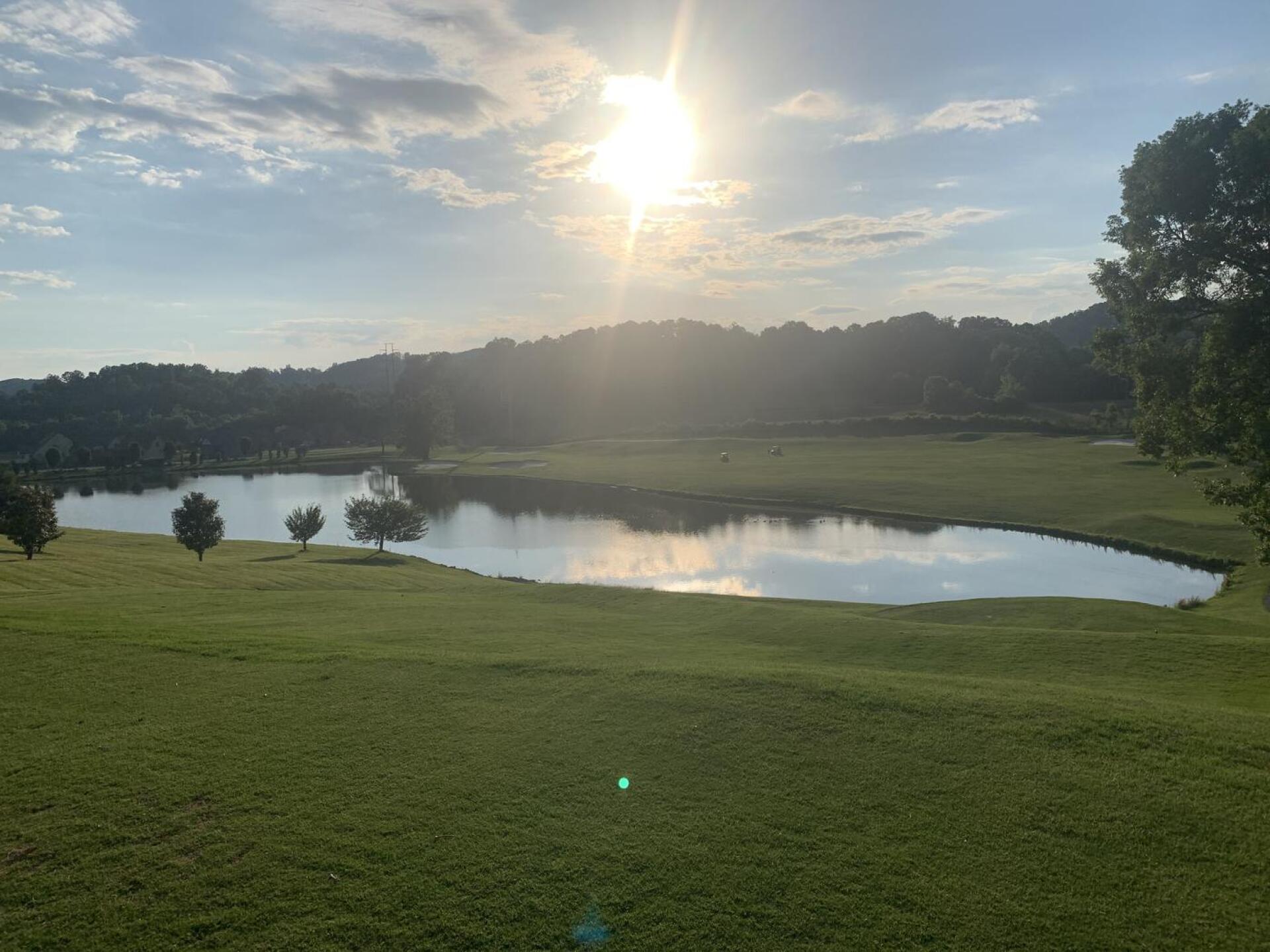 (Photo submitted by dZ63HXH89JduYvqGXmYl on 06/02/2022)