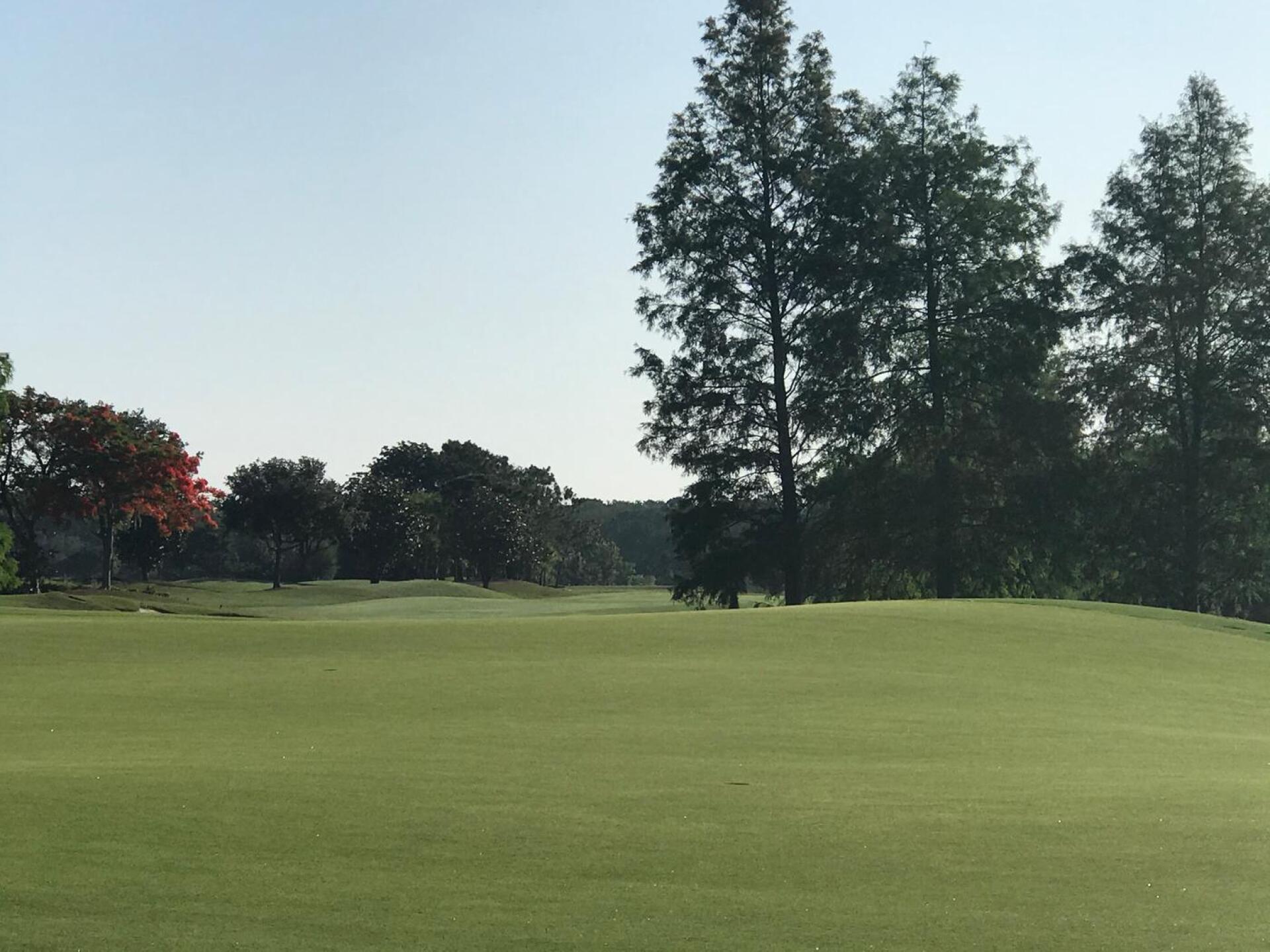 (Photo submitted by CharlesG1958 on 05/24/2020)