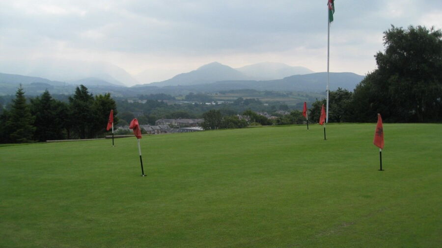 The putting green