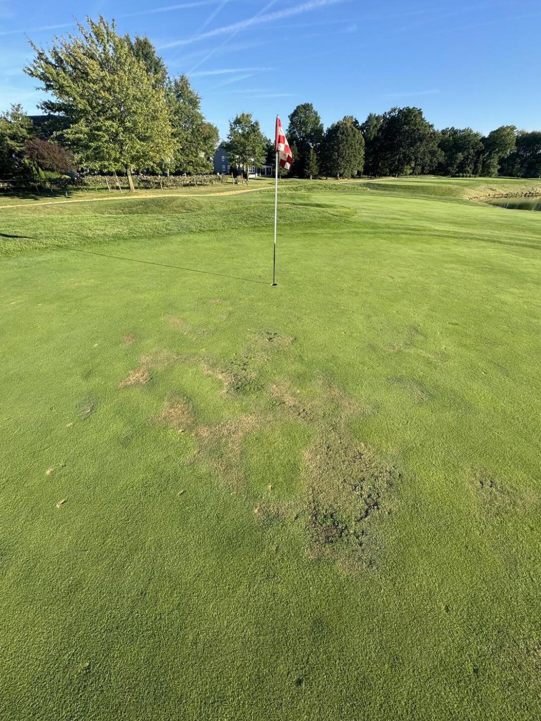 (Photo submitted by u000007648960 on 09/18/2024)