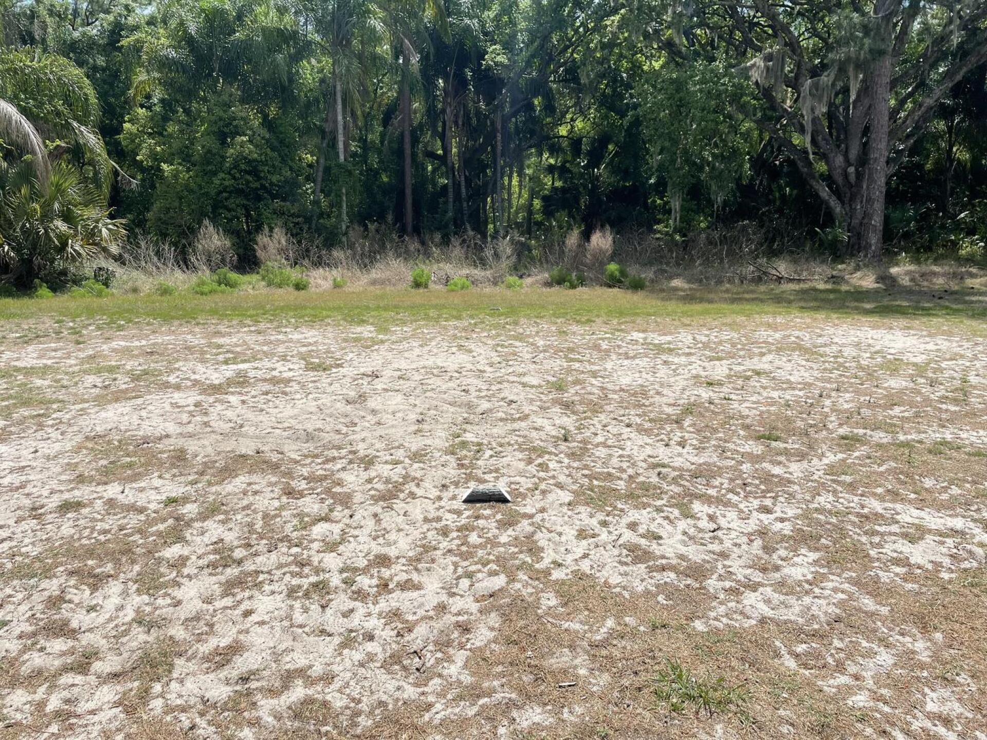 (Photo submitted by grindon on 03/31/2026)