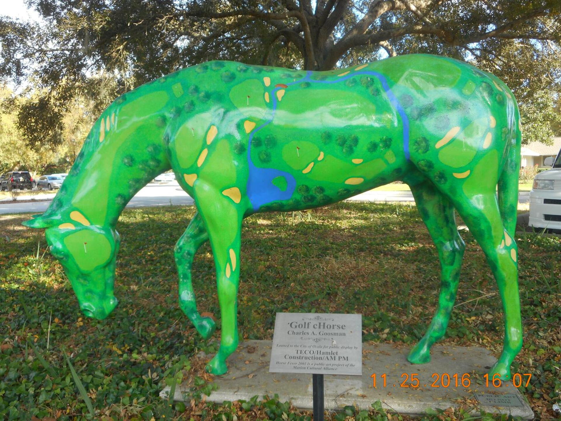 golf horse.... (Photo submitted by allennoell on 11/26/2016)