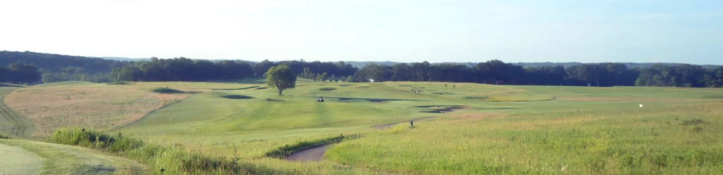Wildflower at Fair Hills golf course - Minnesota 