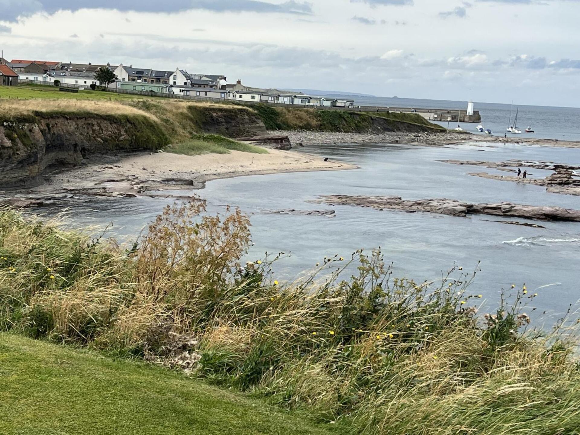 View from course (Photo submitted by t172455793 on 08/09/2025)