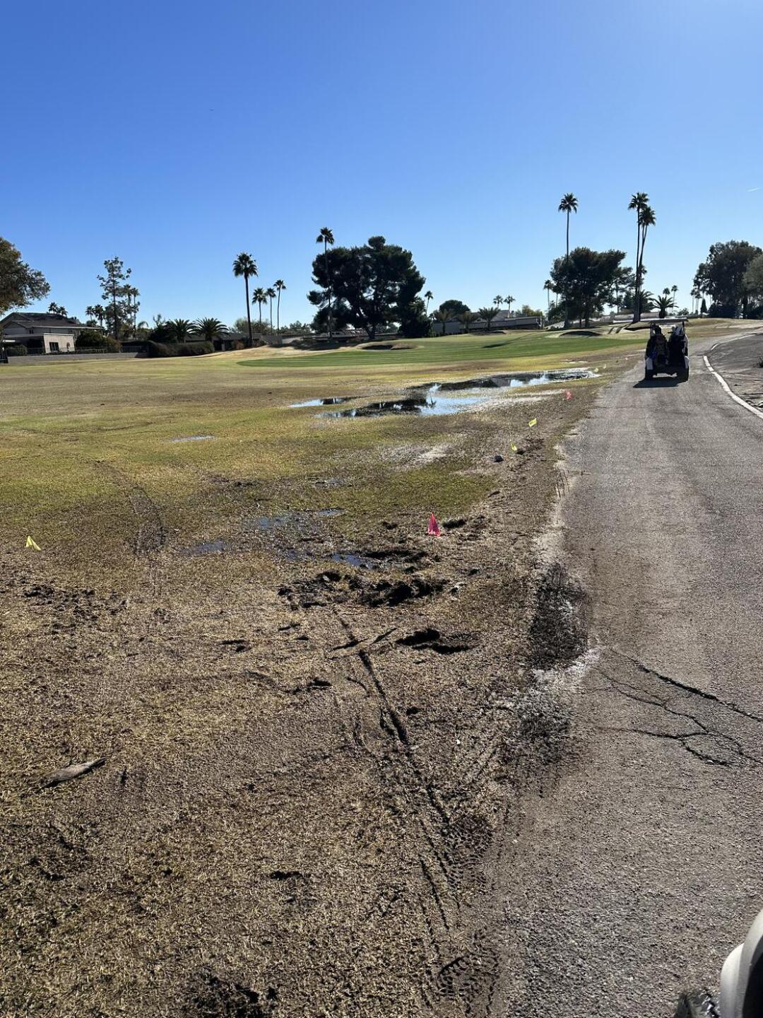 (Photo submitted by Joe1358826 on 02/11/2024)