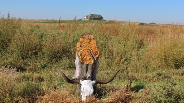 Wild Horse Golf Club - hole 17
